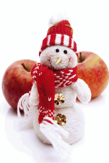 Frohe Weihnachten wünscht Praxis Dr. Lale